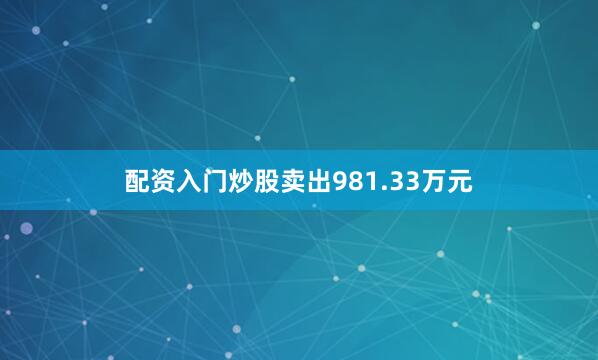 配资入门炒股卖出981.33万元